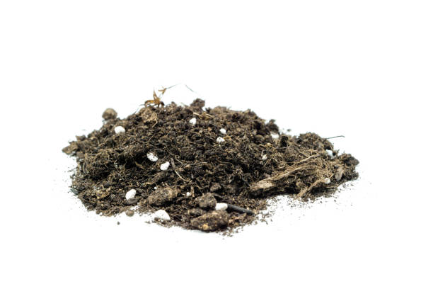istock pile of potting soil isolated on white background 1348572341