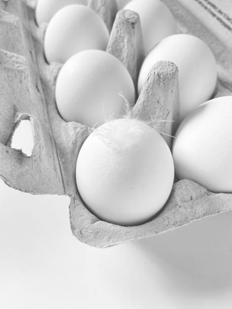 Eggs