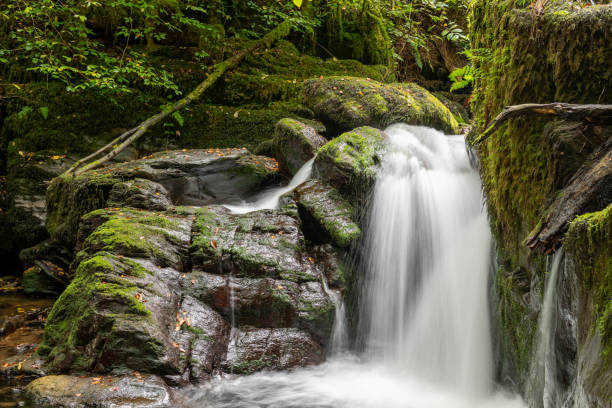 istock Watersmeet in Exmoor National Park 1348572669