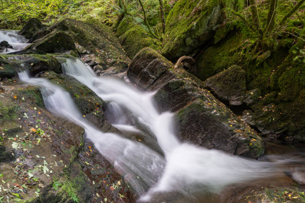 istock Watersmeet in Exmoor National Park 1348572670