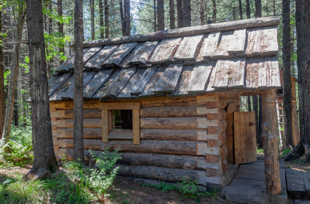 istock Typical hunter's hut in the cedar Siberian taiga on  summer day 1348573491