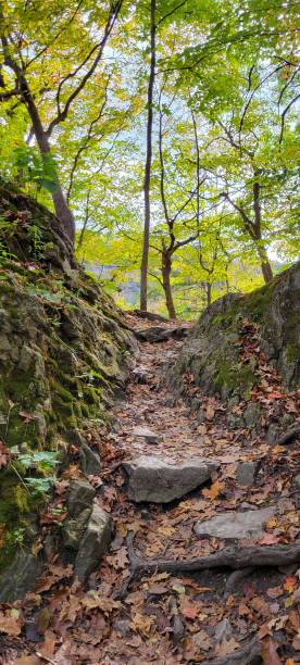 istock Niagara Glen Nature Area 1348573884