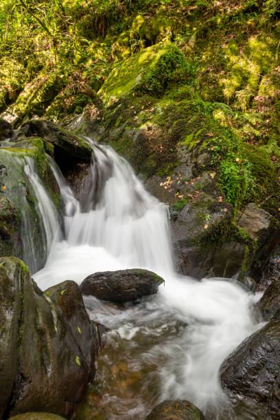 istock Watersmeet in Exmoor National Park 1348574004