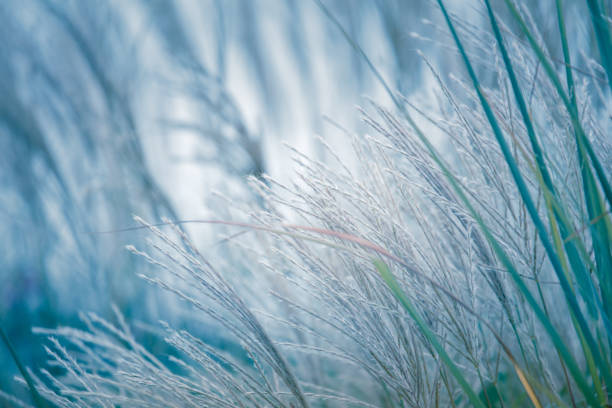 istock Grass natural background. Vintage style design of background 1348574140