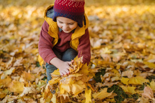 istock Little boy enjoying sunny autumn days in a park 1348574218