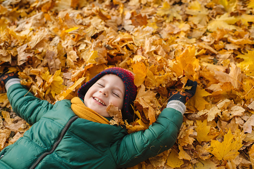 Child laying on leaves in autumn nature