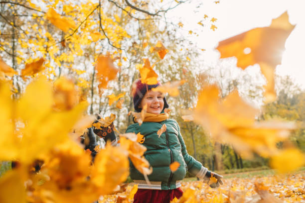 kleiner junge, der sonnige herbsttage in einem park genießt - child discovery outdoors playing stock-fotos und bilder