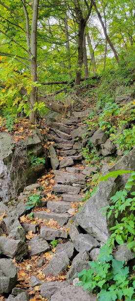 istock Niagara Glen Nature Area 1348576214