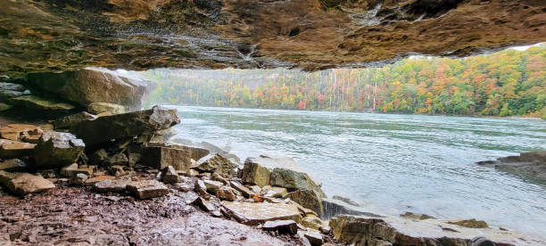 zone naturelle de niagara glen - natural landmark autumn canyon cliff photos et images de collection