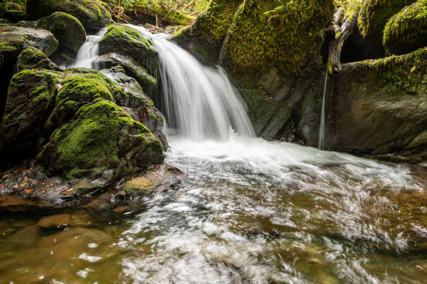 istock Watersmeet in Exmoor National Park 1348578690