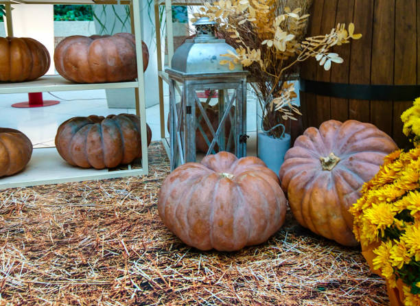istock Yellow-orange pumpkins at home for halloween on a haystack, straw, on a shelf. Decorated with heirlooms for fall on a sunny day. 1348578882