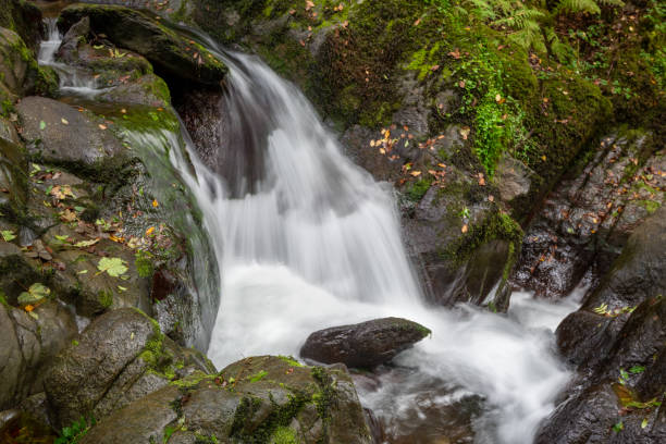 istock Watersmeet in Exmoor National Park 1348582118