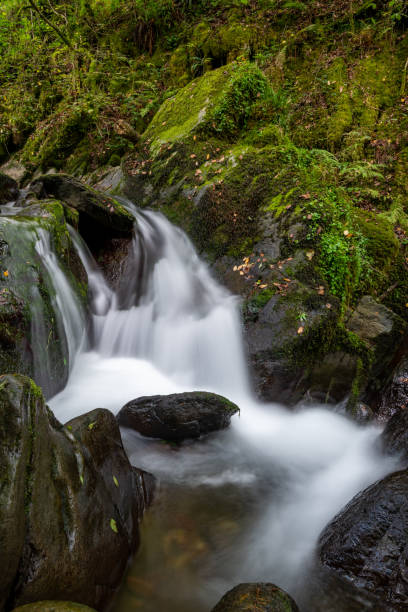 istock Watersmeet in Exmoor National Park 1348595136