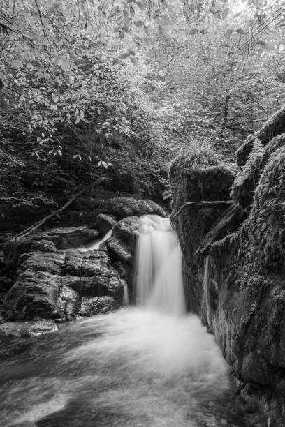istock Watersmeet in Exmoor National Park 1348595476