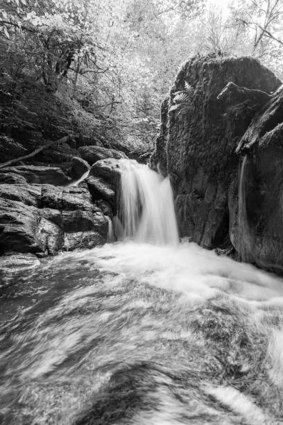 istock Watersmeet in Exmoor National Park 1348608175