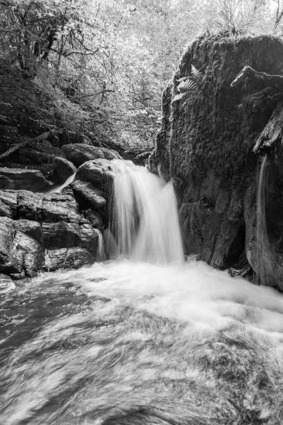 istock Watersmeet in Exmoor National Park 1348608176