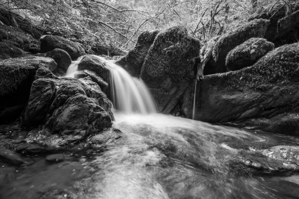 istock Watersmeet in Exmoor National Park 1348608326