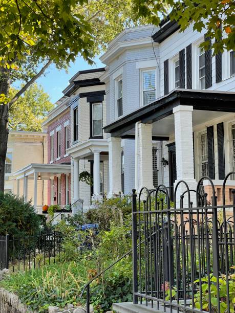 istock Capitol Hill Homes in Washington, DC 1348608786