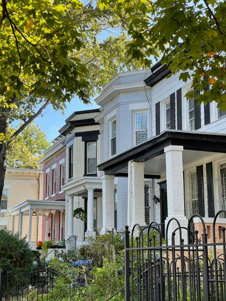 istock Capitol Hill Rowhouses in Washington, DC 1348608790