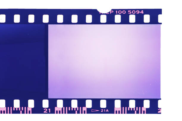 istock Lilac 35mm film negative 1348613999