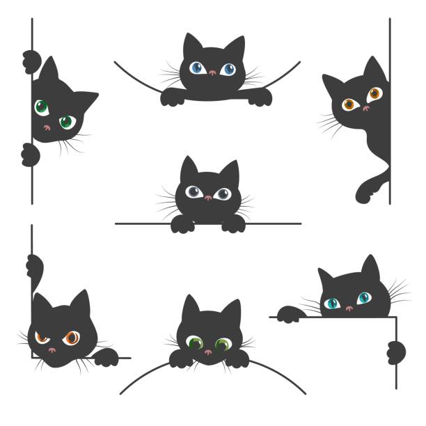 스파이 고양이 컬렉션 - silhouette animal black domestic cat stock illustrations