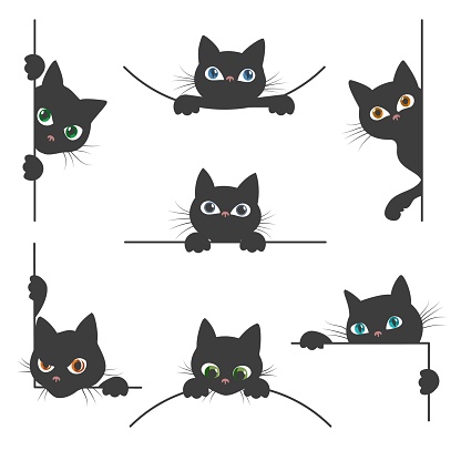Spy cat. Curious black cats silhouettes peeking from white corner, cute hiding kitty pets faces with whiskers, peeping kitten vector illustration