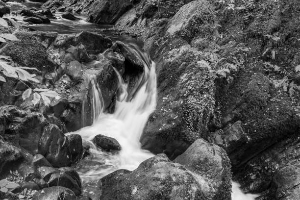 istock Watersmeet in Exmoor National Park 1348618191