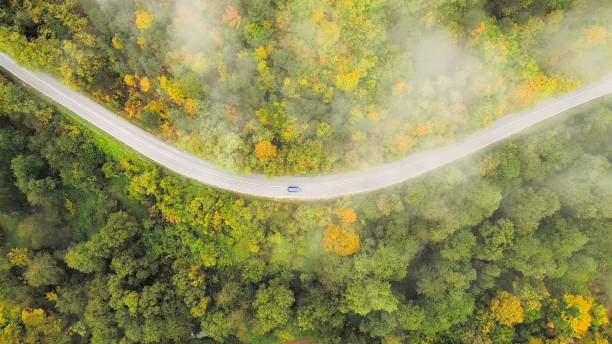 istock Truck drives on the road 1348623897