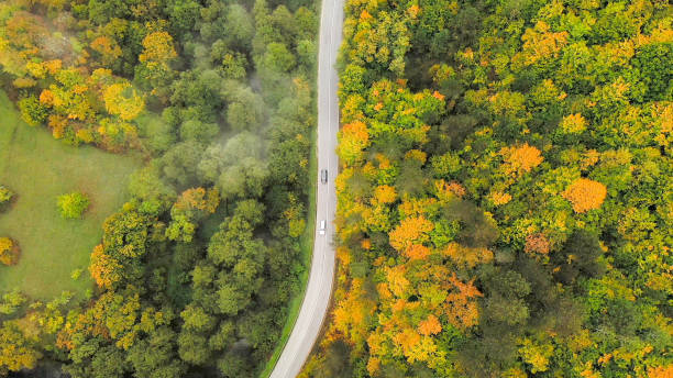 istock Truck drives on the road 1348623928