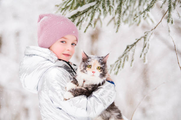 小さな女の子は雪の冬に彼女の腕の中で猫を運びます - snow winter bench park ストックフォトと画像