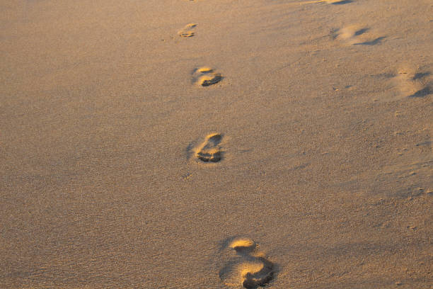 istock Footprints in the sand on the beach against background. 1348637420