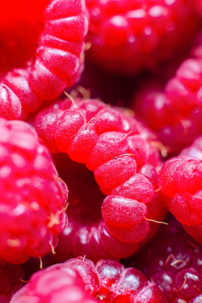 istock Macro of ripe red raspberry. Food background. Close-up. 1348640721
