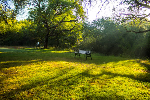 istock Various views of Punit Van park in Gandhinagar 1348647913