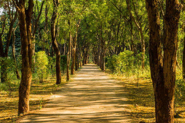 istock Various views of Punit Van park in Gandhinagar 1348648455