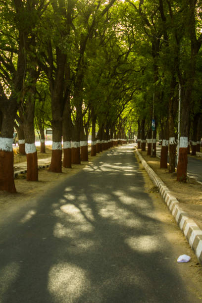 istock A Boulevard on a Gandhinagar road 1348648993