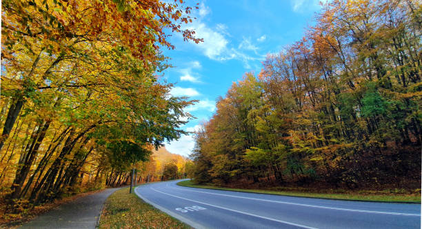 istock Road in the autumn forest 1348651203