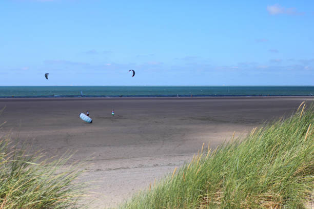 istock Dunes on the North Sea coast at the Netherlands 1348652775