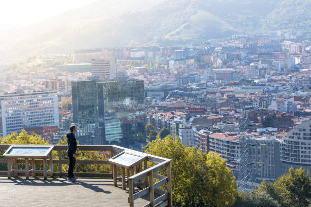 a view of Bilbao, from above (Spain)