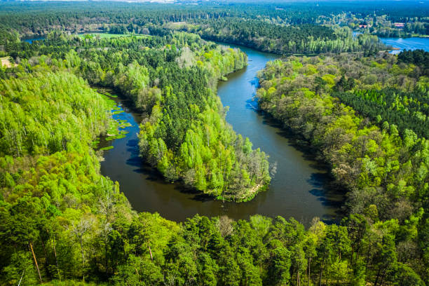Big river and forest in summer. Aerial view of Poland Big river and forest in summer. Aerial view of Poland, Europe bory tucholskie stock pictures, royalty-free photos & images