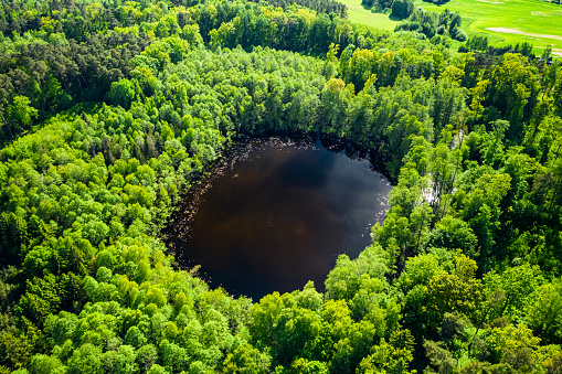 Amazing green forest and river in summer. Aerial view of wildlife in Poland, Europe