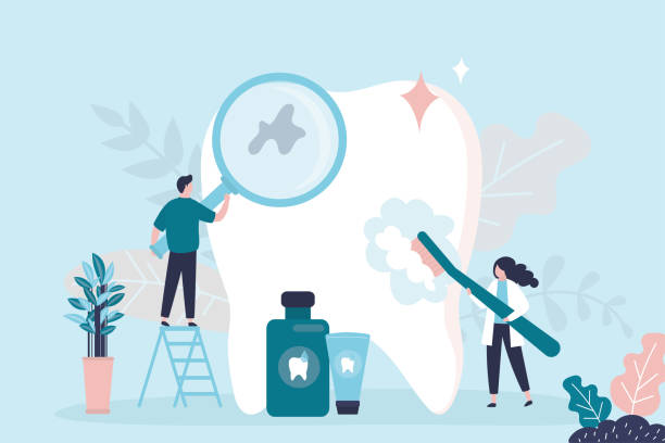 stockillustraties, clipart, cartoons en iconen met dentist with magnifying glass examine and treat tooth for caries. female specialist with toothbrush cleans large tooth - tandheelkundige gezondheid illustraties