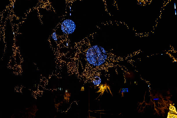 Decorated tree with multi-colored Christmas lights in city park at night