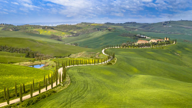 cipressi tortuosi aerei - montalcino foto e immagini stock