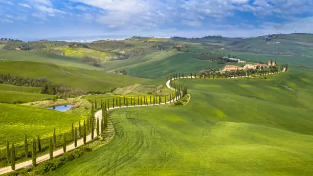 Aerial view of Meandering row of cypress trees in the hills of Tuscany, Italy, April.
