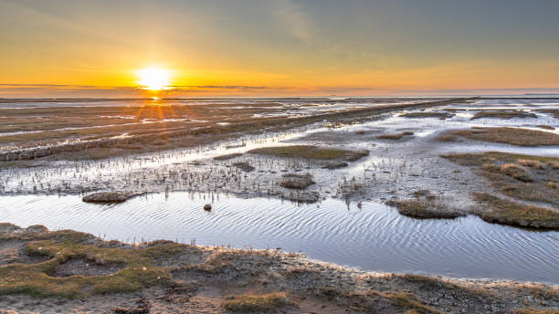 istock Aerial view over salt marsh plains Wadden Sea 1348672901