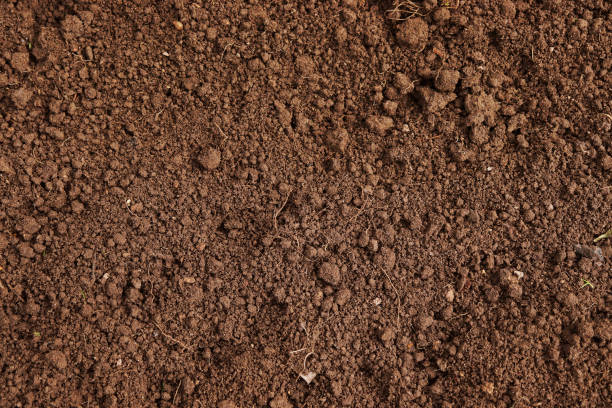 istock Texture of loose soil 1348678383