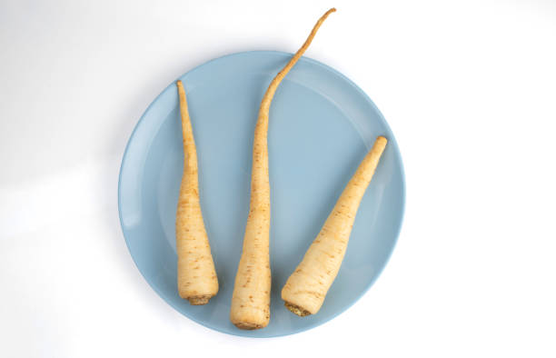 istock Three parsley roots lie on a blue plate on a white 1348678457