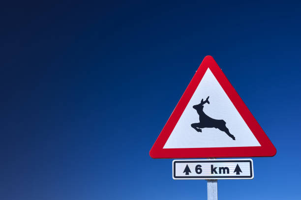 detail of an animal crossing danger traffic sign against a blue sky