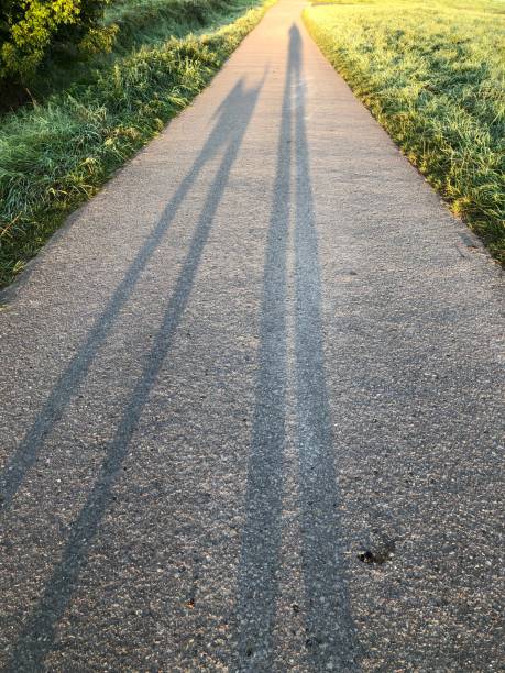 istock Long cast shadows on the street 1348680553