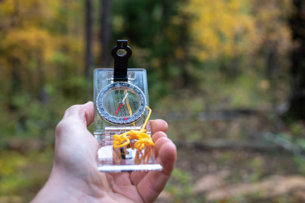 kompass mit pfeil in der hand im wald, geringe schärfentiefe. - orienteering stock-fotos und bilder